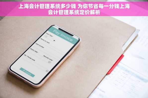 上海会计管理系统多少钱 为你节省每一分钱上海会计管理系统定价解析