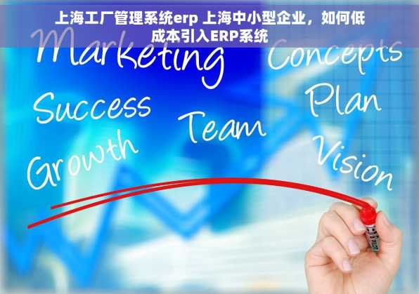 上海工厂管理系统erp 上海中小型企业，如何低成本引入ERP系统