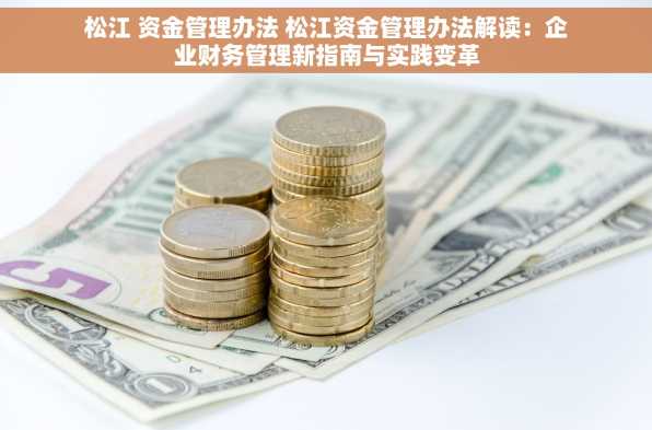 松江 资金管理办法 松江资金管理办法解读：企业财务管理新指南与实践变革
