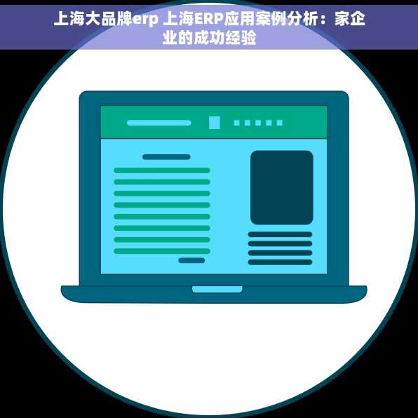 上海大品牌erp 上海ERP应用案例分析：家企业的成功经验