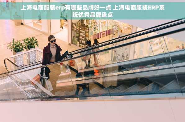 上海电商服装erp有哪些品牌好一点 上海电商服装ERP系统优秀品牌盘点