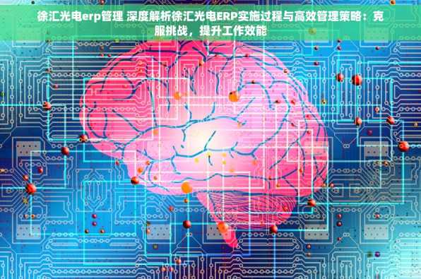 徐汇光电erp管理 深度解析徐汇光电ERP实施过程与高效管理策略：克服挑战，提升工作效能