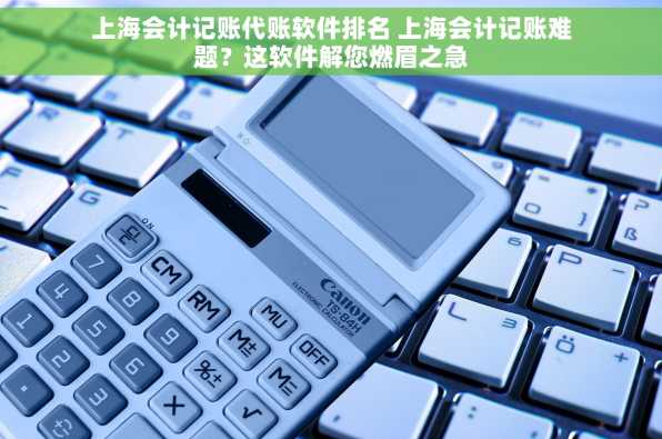 上海会计记账代账软件排名 上海会计记账难题？这软件解您燃眉之急