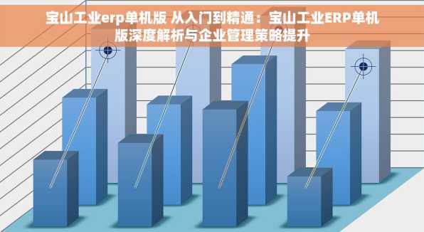 宝山工业erp单机版 从入门到精通：宝山工业ERP单机版深度解析与企业管理策略提升