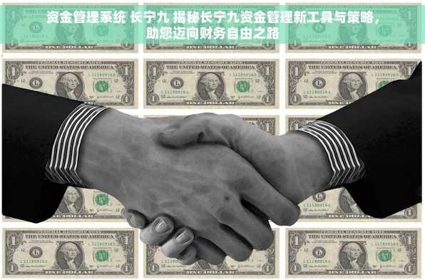 资金管理系统 长宁九 揭秘长宁九资金管理新工具与策略，助您迈向财务自由之路