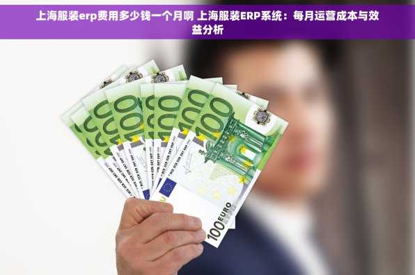 上海服装erp费用多少钱一个月啊 上海服装ERP系统：每月运营成本与效益分析