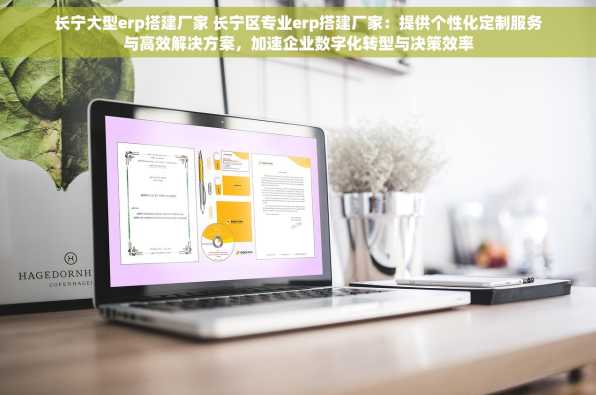 长宁大型erp搭建厂家 长宁区专业erp搭建厂家：提供个性化定制服务与高效解决方案，加速企业数字化转型与决策效率