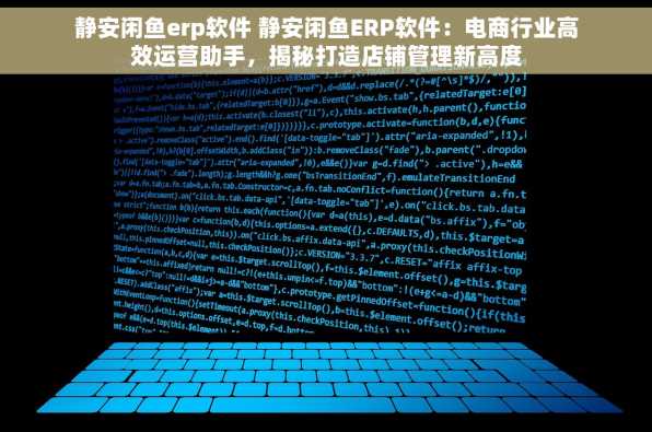 静安闲鱼erp软件 静安闲鱼ERP软件：电商行业高效运营助手，揭秘打造店铺管理新高度