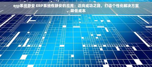 erp系统静安 ERP系统在静安的应用：迈向成功之路，打造个性化解决方案，降低成本