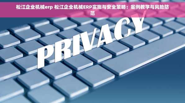 松江企业机械erp 松江企业机械ERP实施与安全策略：案例教学与风险防范