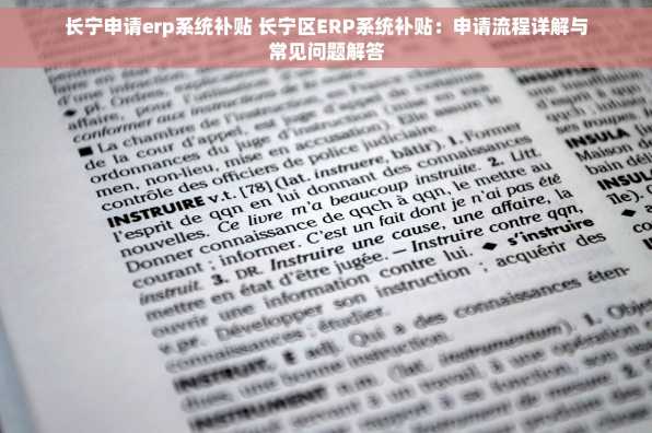 长宁申请erp系统补贴 长宁区ERP系统补贴：申请流程详解与常见问题解答