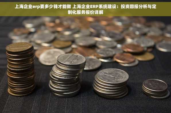 上海企业erp要多少钱才能做 上海企业ERP系统建设：投资回报分析与定制化服务报价详解