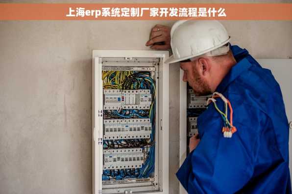 上海erp系统定制厂家开发流程是什么