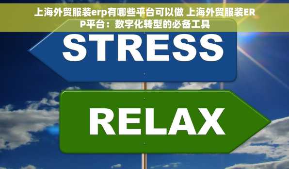 上海外贸服装erp有哪些平台可以做 上海外贸服装ERP平台：数字化转型的必备工具