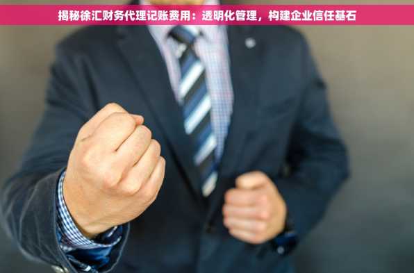 揭秘徐汇财务代理记账费用：透明化管理，构建企业信任基石