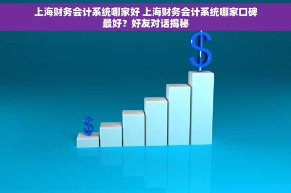 上海财务会计系统哪家好 上海财务会计系统哪家口碑最好？好友对话揭秘