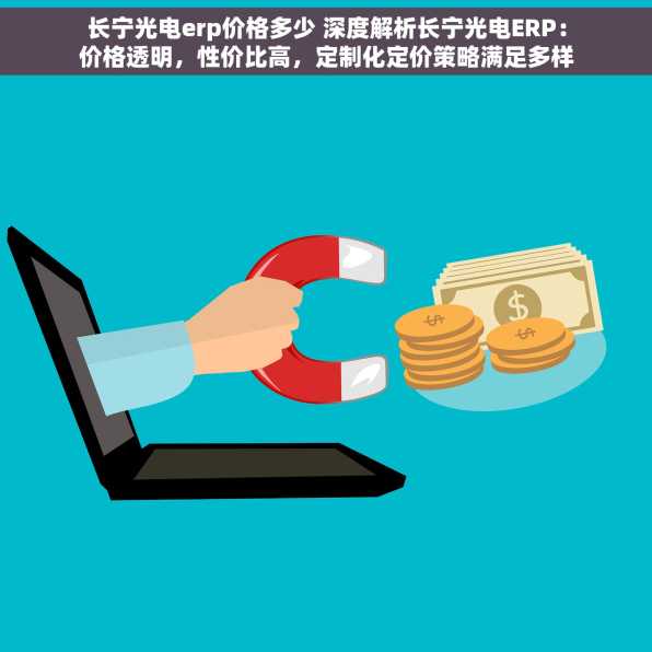 长宁光电erp价格多少 深度解析长宁光电ERP：价格透明，性价比高，定制化定价策略满足多样化企业需求