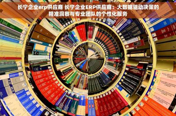 长宁企业erp供应商 长宁企业ERP供应商：大数据驱动决策的精准洞察与专业团队的个性化服务