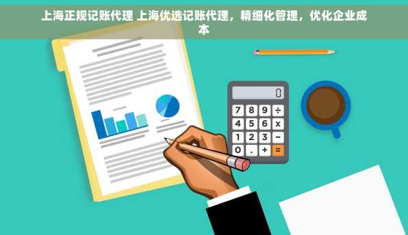 上海正规记账代理 上海优选记账代理，精细化管理，优化企业成本