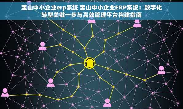 宝山中小企业erp系统 宝山中小企业ERP系统：数字化转型关键一步与高效管理平台构建指南