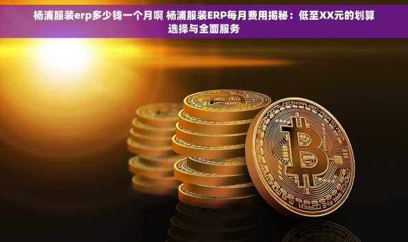 杨浦服装erp多少钱一个月啊 杨浦服装ERP每月费用揭秘：低至XX元的划算选择与全面服务