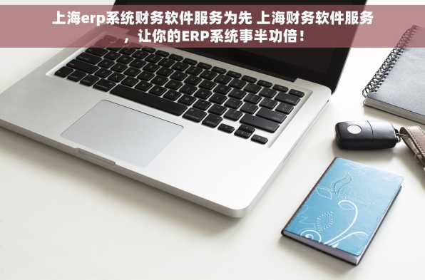 上海erp系统财务软件服务为先 上海财务软件服务，让你的ERP系统事半功倍！