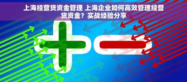 上海经营贷资金管理 上海企业如何高效管理经营贷资金？实战经验分享