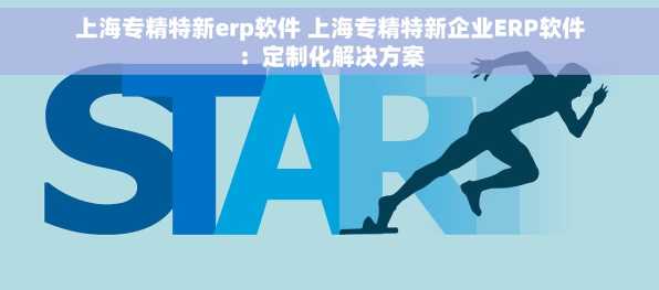 上海专精特新erp软件 上海专精特新企业ERP软件：定制化解决方案