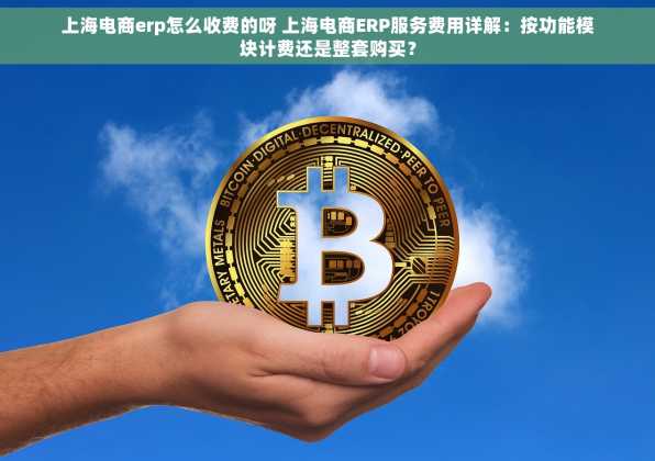 上海电商erp怎么收费的呀 上海电商ERP服务费用详解：按功能模块计费还是整套购买？