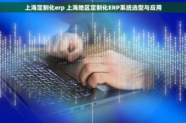 上海定制化erp 上海地区定制化ERP系统选型与应用