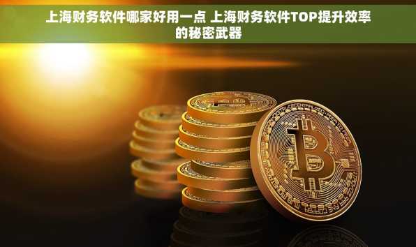 上海财务软件哪家好用一点 上海财务软件TOP提升效率的秘密武器