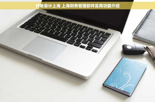 代帐会计上海 上海财务管理软件实用功能介绍