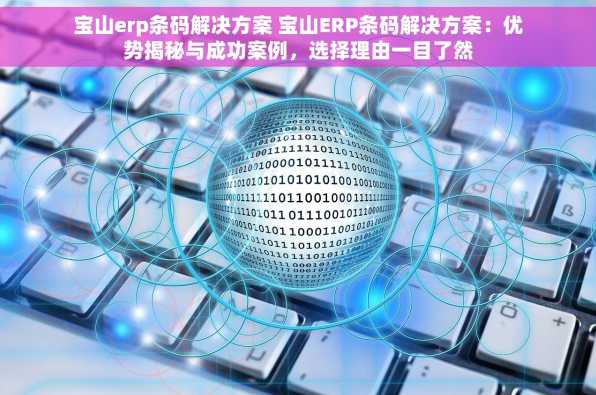 宝山erp条码解决方案 宝山ERP条码解决方案：优势揭秘与成功案例，选择理由一目了然