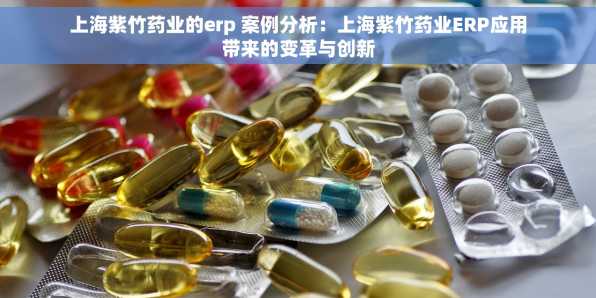 上海紫竹药业的erp 案例分析：上海紫竹药业ERP应用带来的变革与创新