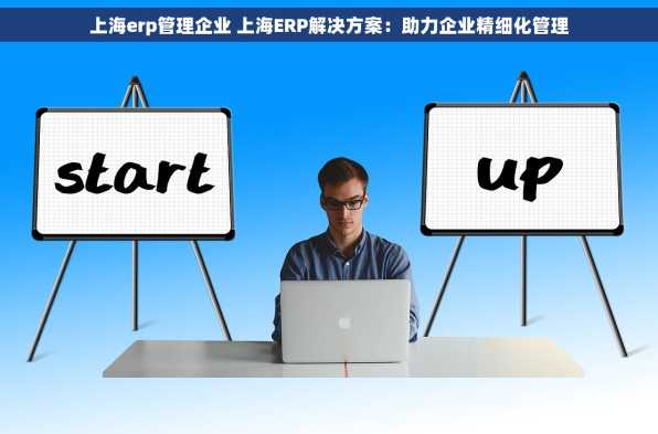 上海erp管理企业 上海ERP解决方案：助力企业精细化管理