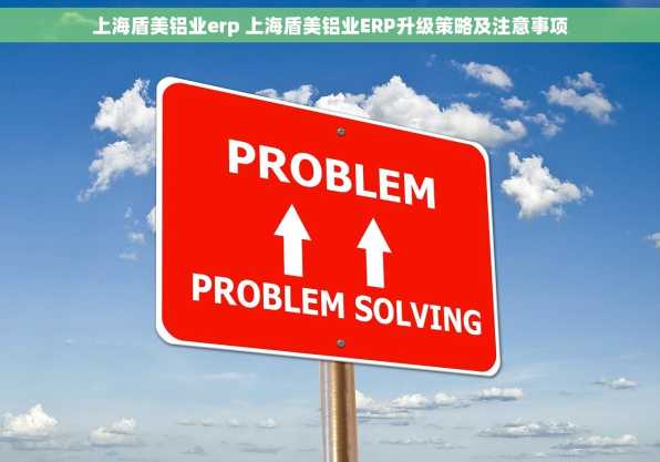 上海盾美铝业erp 上海盾美铝业ERP升级策略及注意事项