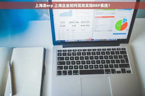 上海走erp 上海企业如何高效实施ERP系统？