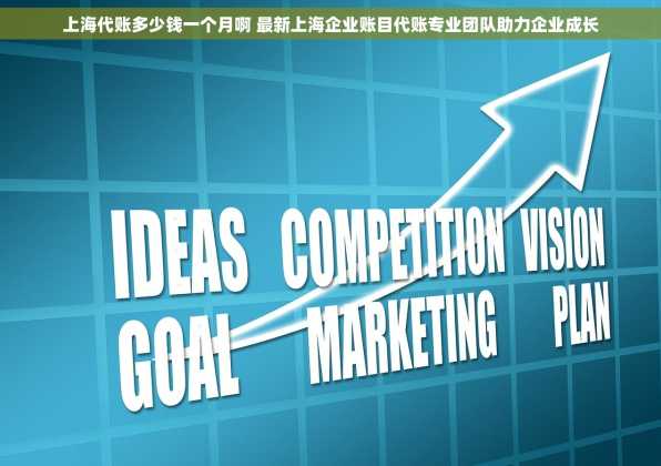 上海代账多少钱一个月啊 最新上海企业账目代账专业团队助力企业成长