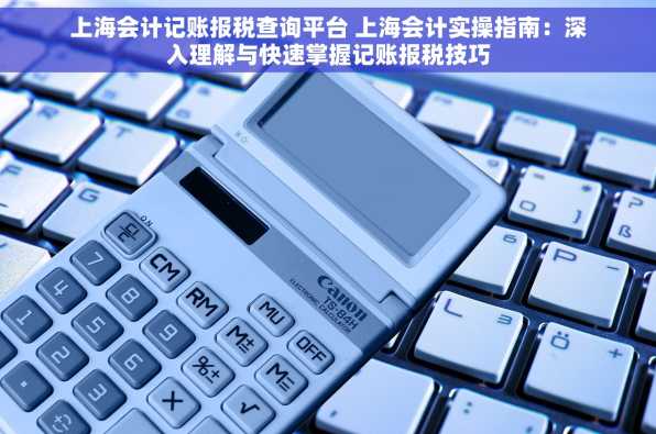 上海会计记账报税查询平台 上海会计实操指南：深入理解与快速掌握记账报税技巧