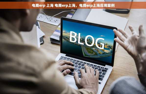 电商erp 上海 电商erp上海，电商erp上海应用案例