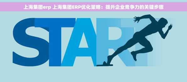 上海集团erp 上海集团ERP优化策略：提升企业竞争力的关键步骤