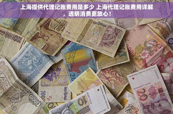 上海提供代理记账费用是多少 上海代理记账费用详解，透明消费更放心！