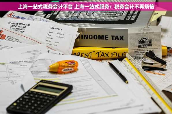 上海一站式税务会计平台 上海一站式服务：税务会计不再烦恼