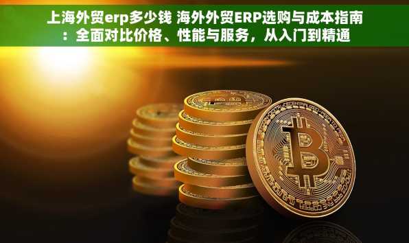 上海外贸erp多少钱 海外外贸ERP选购与成本指南：全面对比价格、性能与服务，从入门到精通