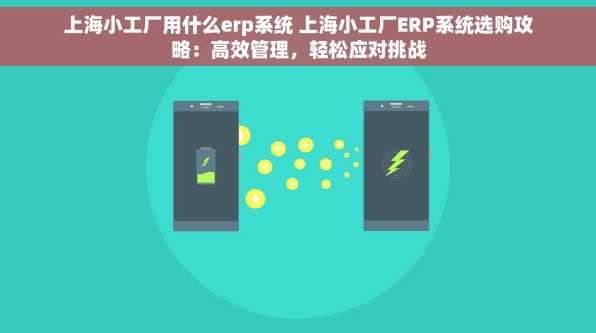 上海小工厂用什么erp系统 上海小工厂ERP系统选购攻略：高效管理，轻松应对挑战