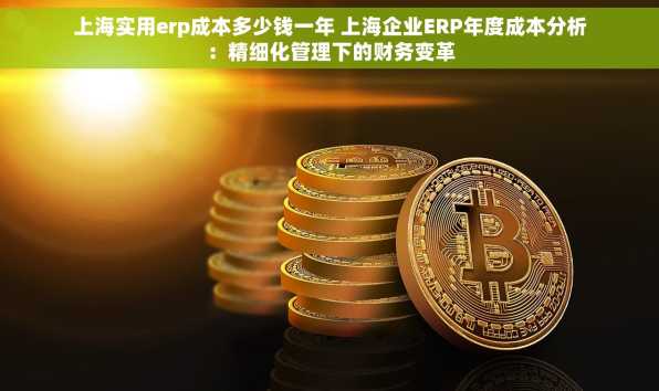 上海实用erp成本多少钱一年 上海企业ERP年度成本分析：精细化管理下的财务变革