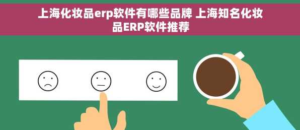 上海化妆品erp软件有哪些品牌 上海知名化妆品ERP软件推荐