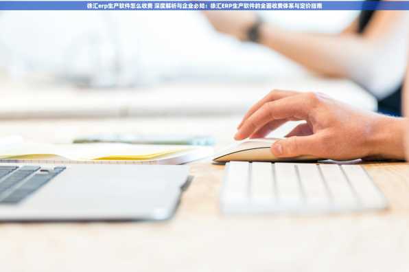 徐汇erp生产软件怎么收费 深度解析与企业必知：徐汇ERP生产软件的全面收费体系与定价指南