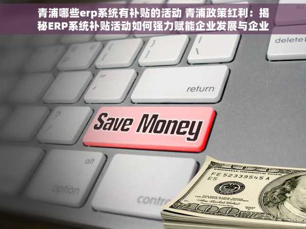 青浦哪些erp系统有补贴的活动 青浦政策红利：揭秘ERP系统补贴活动如何强力赋能企业发展与企业福利大放送