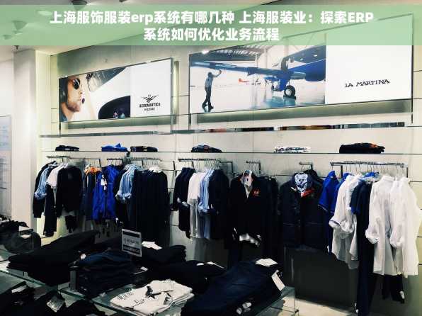 上海服饰服装erp系统有哪几种 上海服装业：探索ERP系统如何优化业务流程